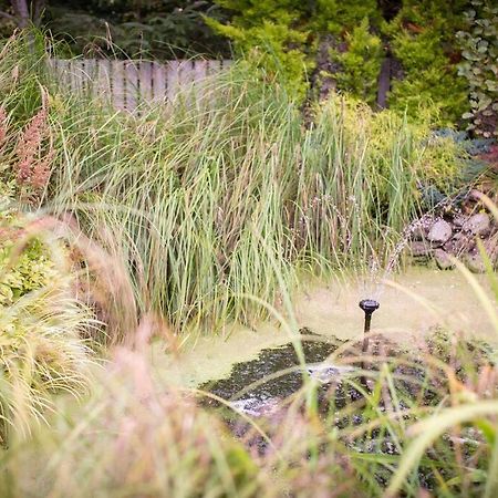 Calm Scottish Country Escape With Hot Tub Sleeps 6 Villa Inverness Eksteriør billede