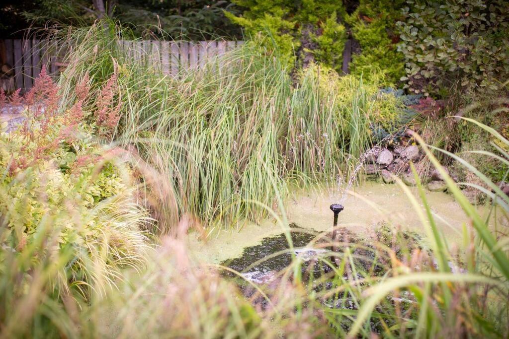Calm Scottish Country Escape With Hot Tub Sleeps 6 Villa Inverness Eksteriør billede